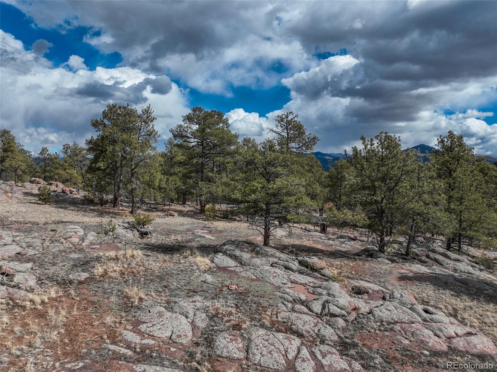 54 Ute Circle Florissant CO 80816