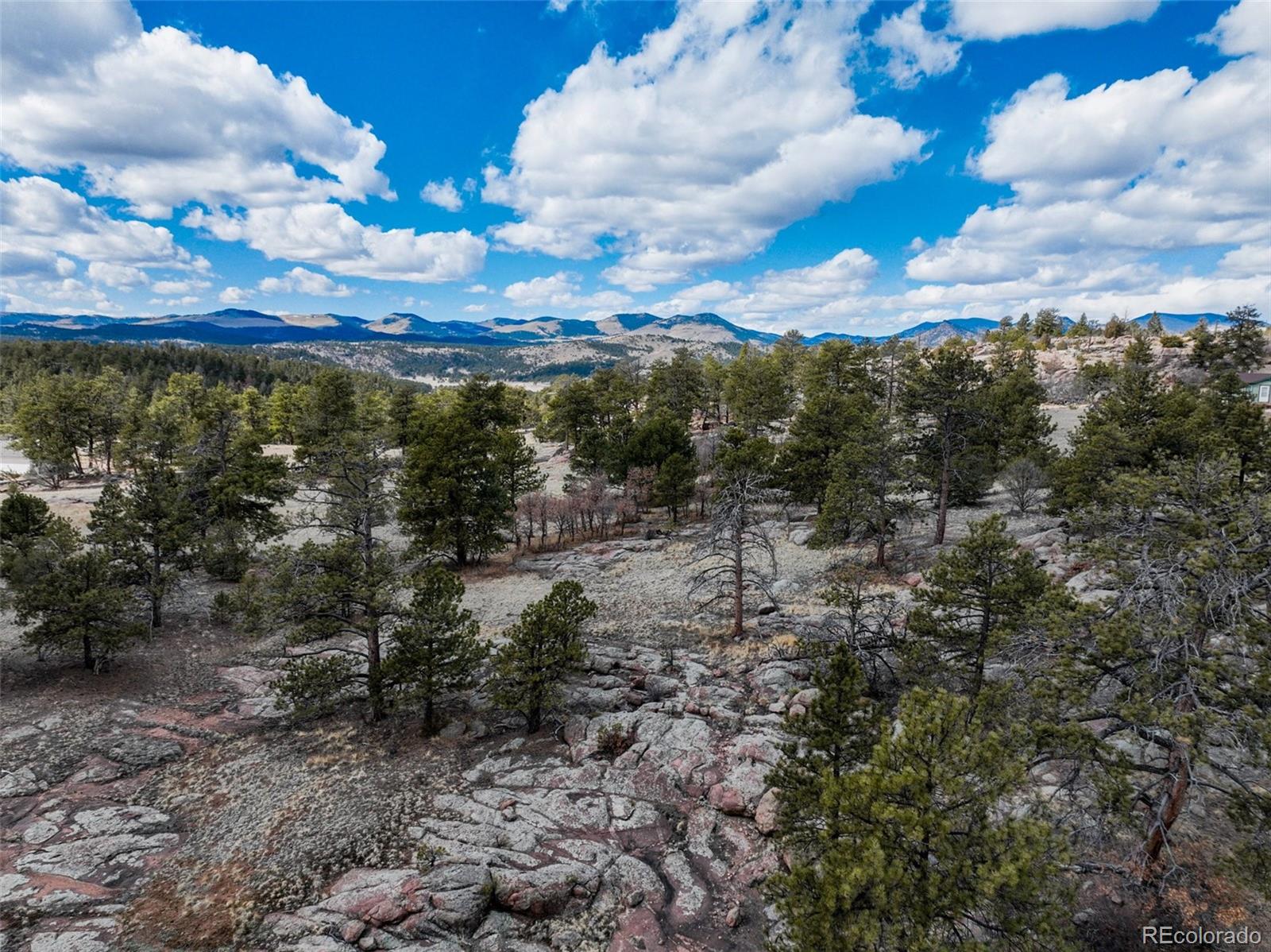 54 Ute Circle Florissant CO 80816