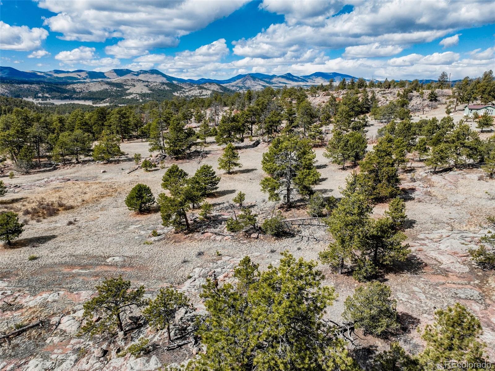 54 Ute Circle Florissant CO 80816