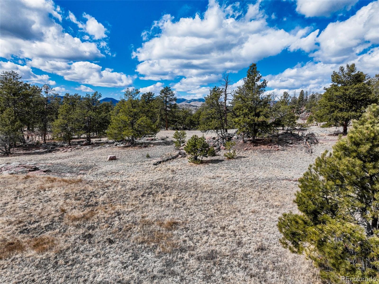 54 Ute Circle Florissant CO 80816