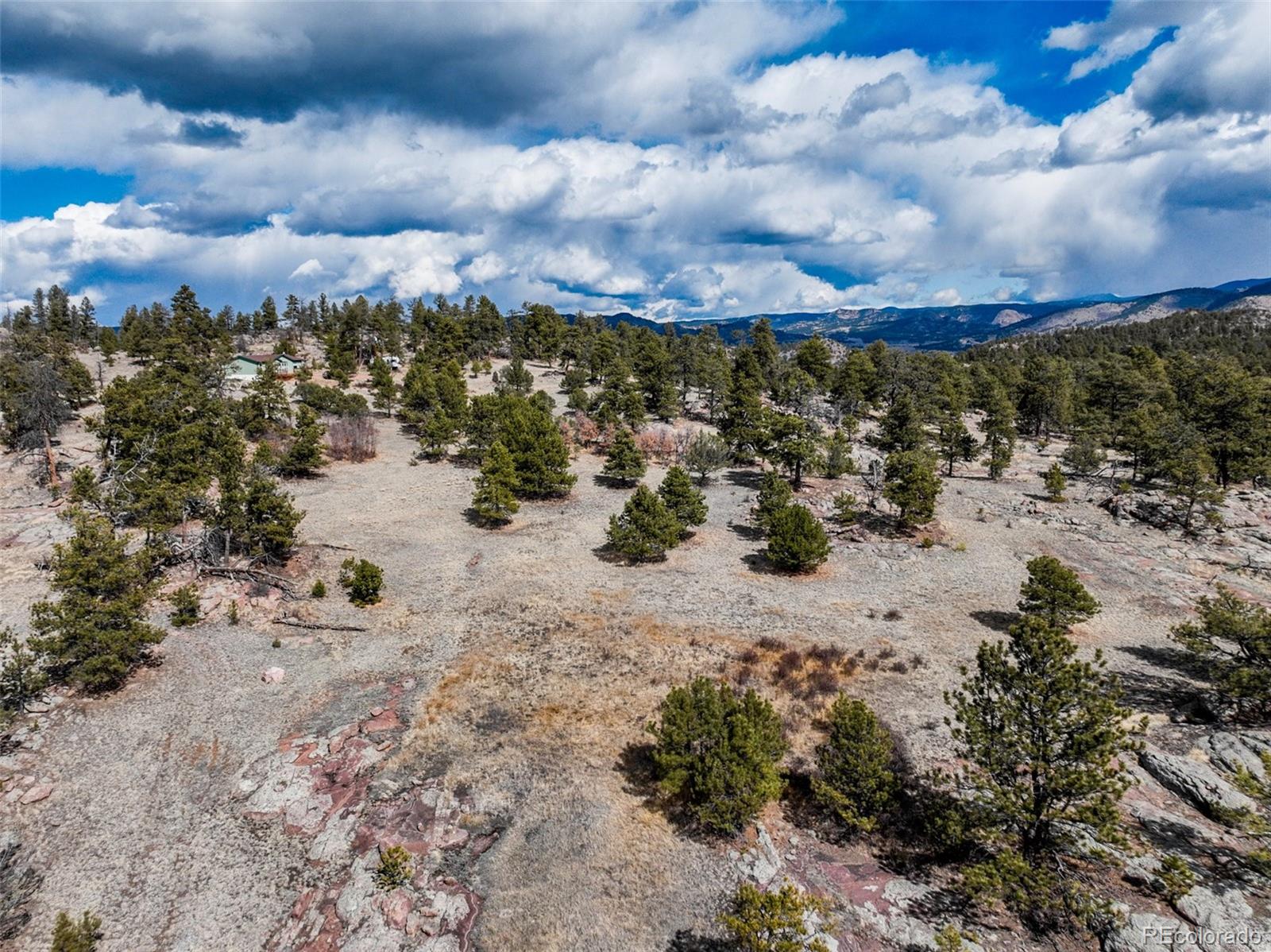 54 Ute Circle Florissant CO 80816