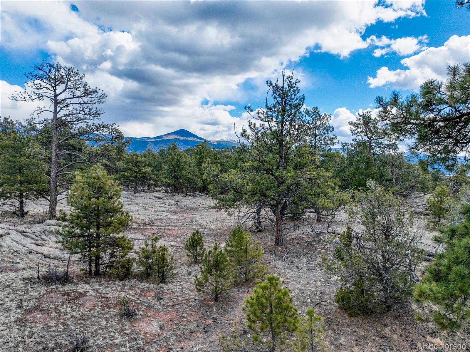54 Ute Circle Florissant CO 80816