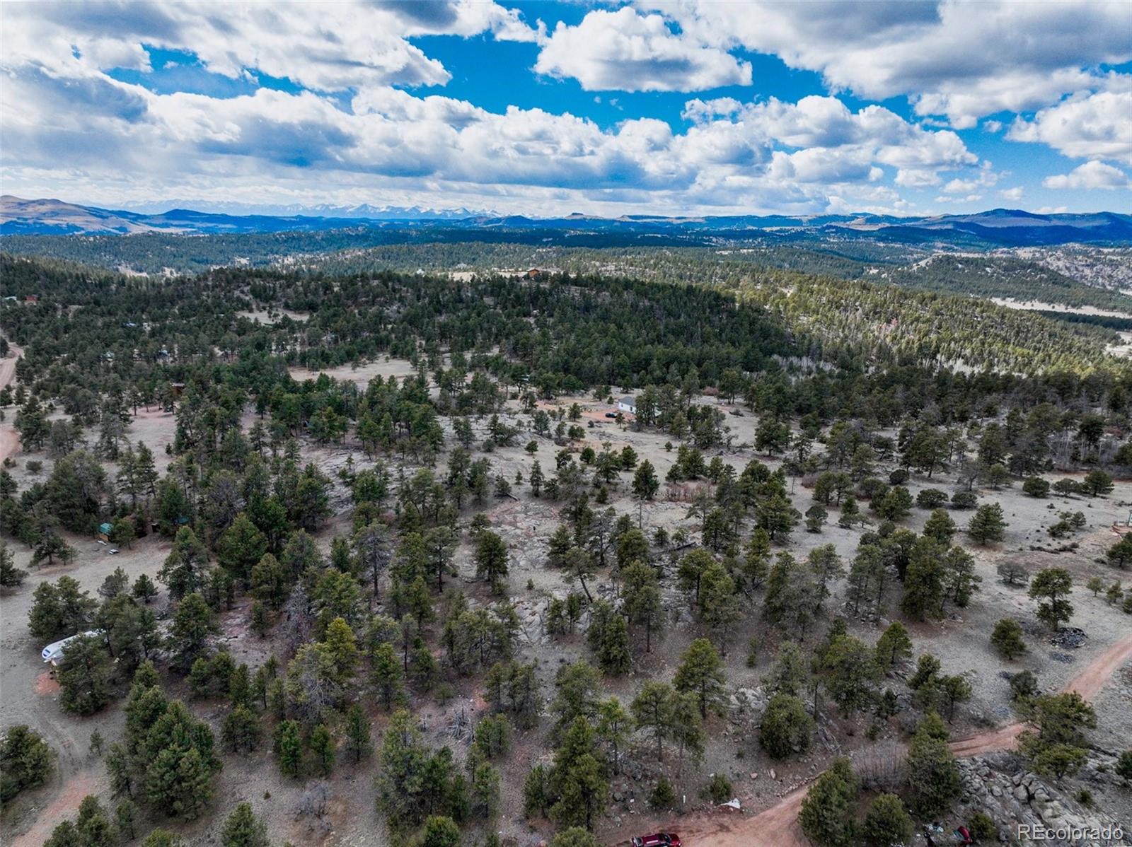 54 Ute Circle Florissant CO 80816