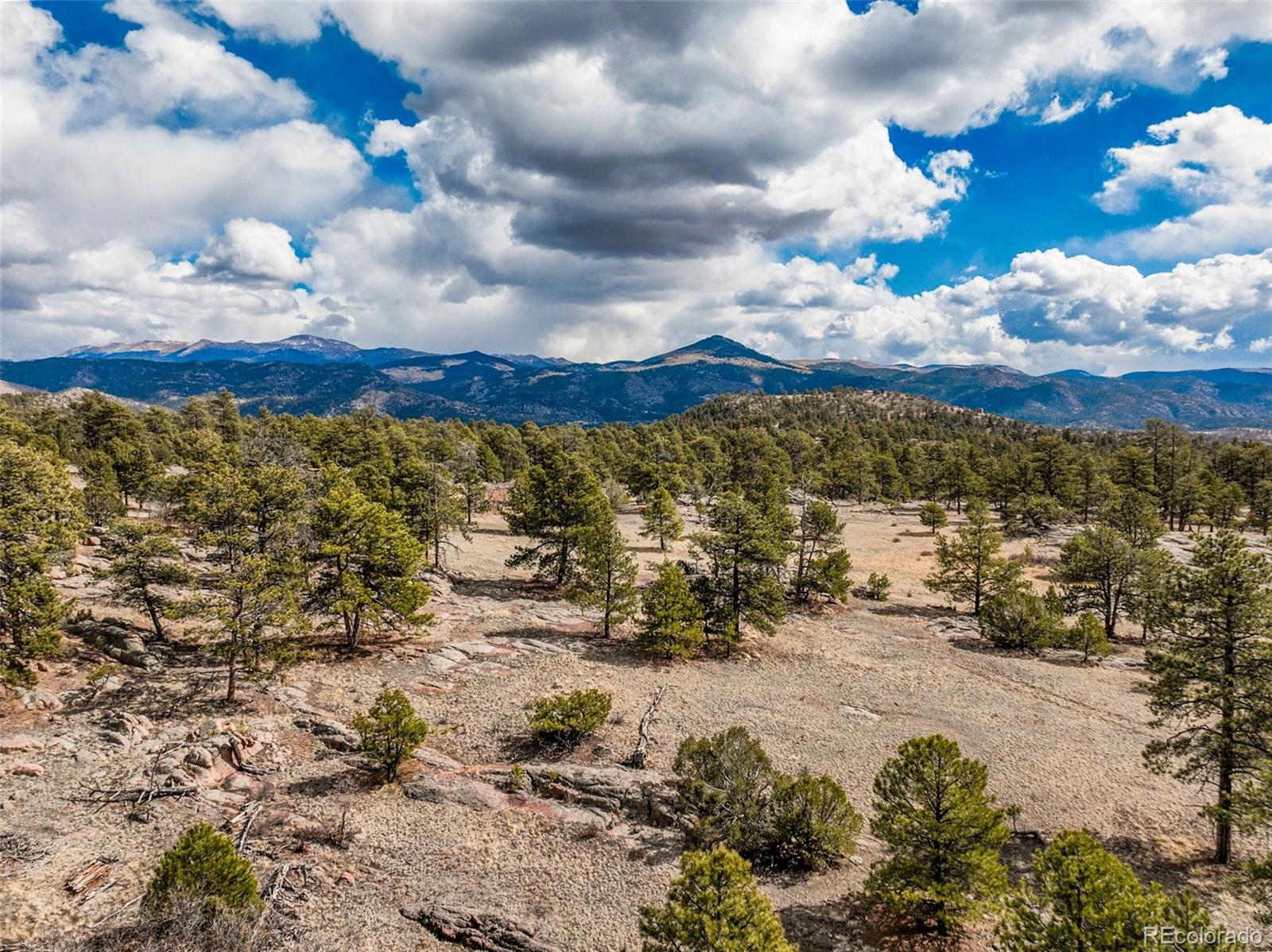 54 Ute Circle Florissant CO 80816