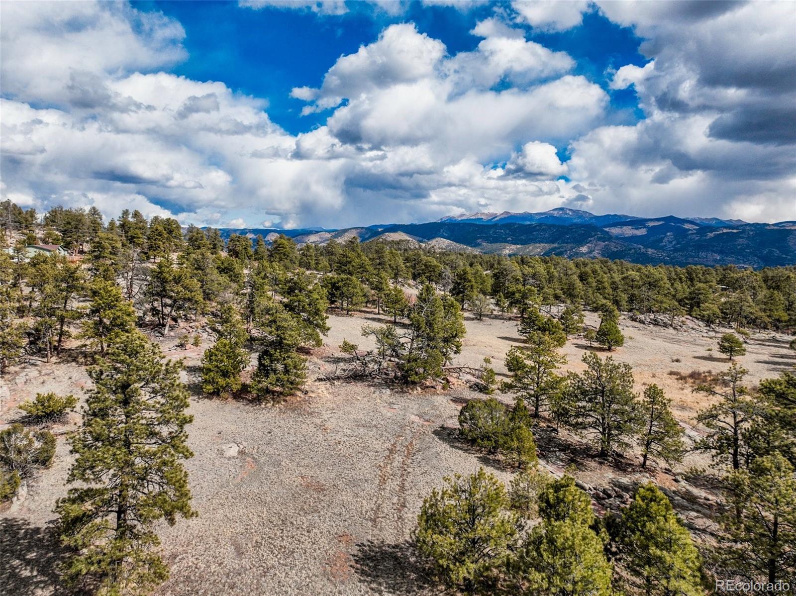 54 Ute Circle Florissant CO 80816