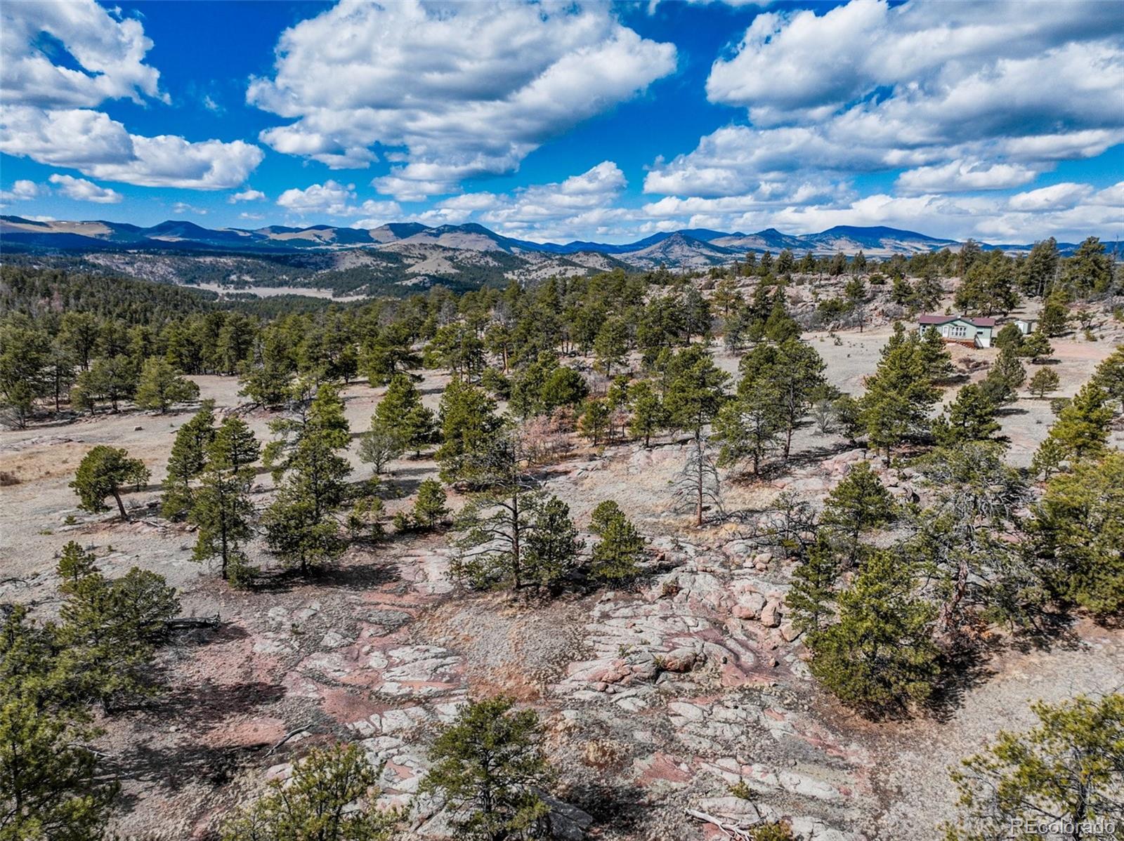 54 Ute Circle Florissant CO 80816