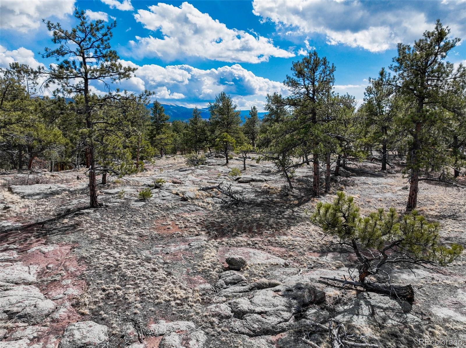54 Ute Circle Florissant CO 80816