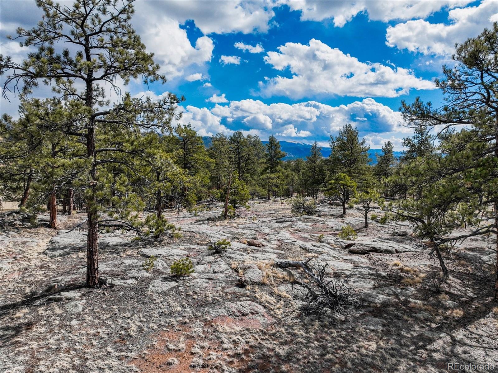 54 Ute Circle Florissant CO 80816