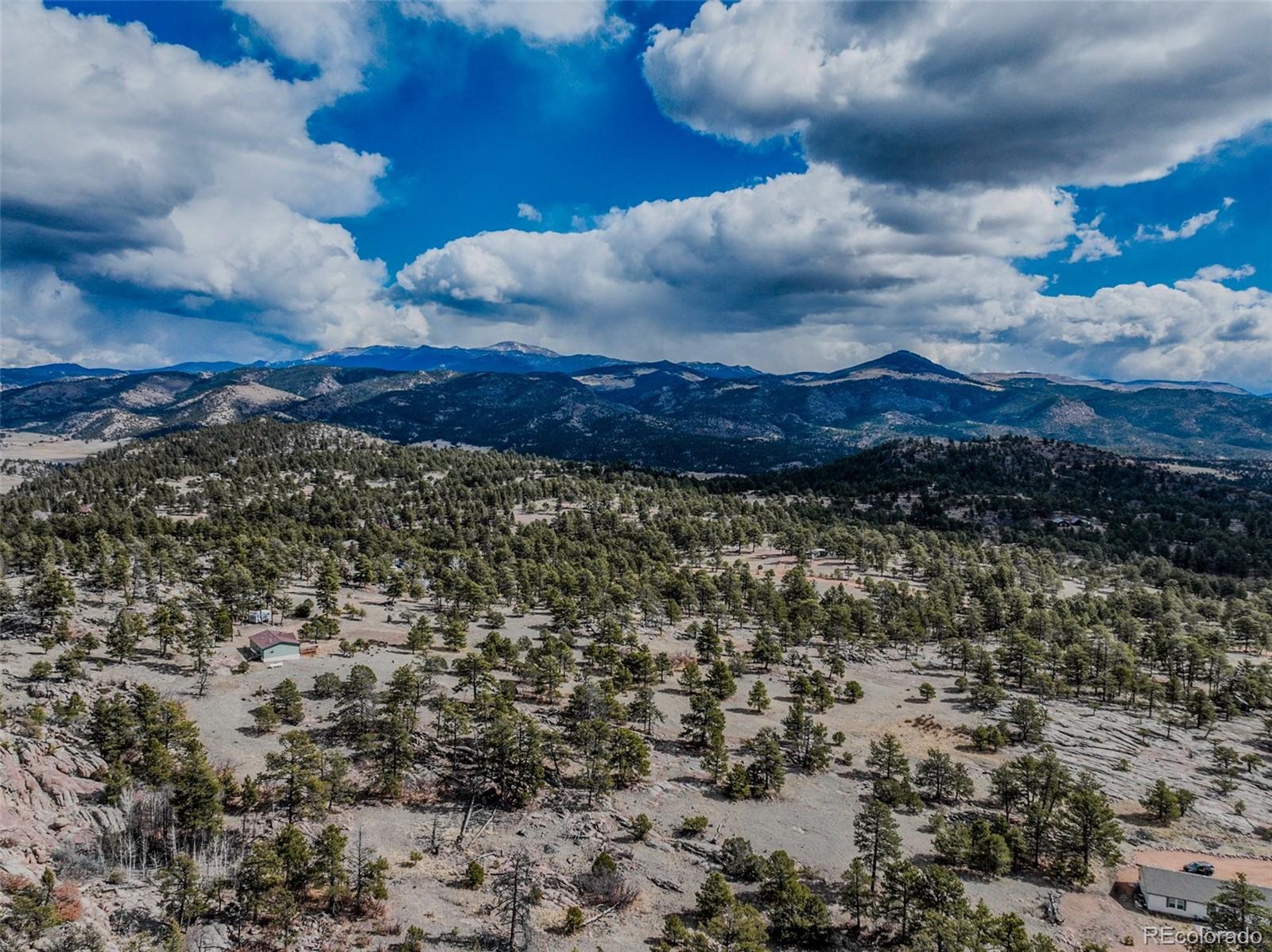 54 Ute Circle Florissant CO 80816