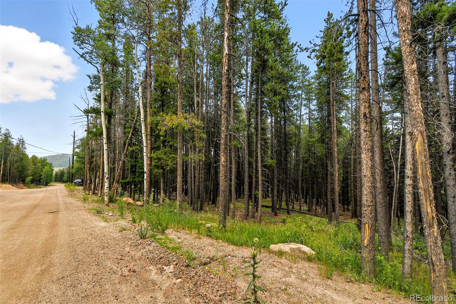 Aspen Way Evergreen CO 80439