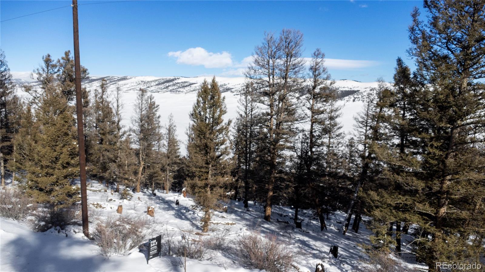 1396 Middle Fork Vista Fairplay CO 80440