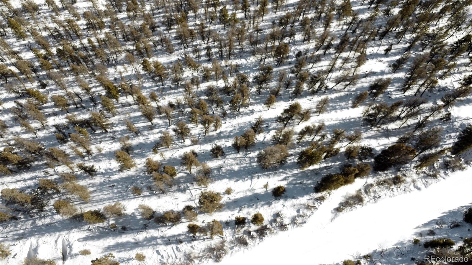 1396 Middle Fork Vista Fairplay CO 80440