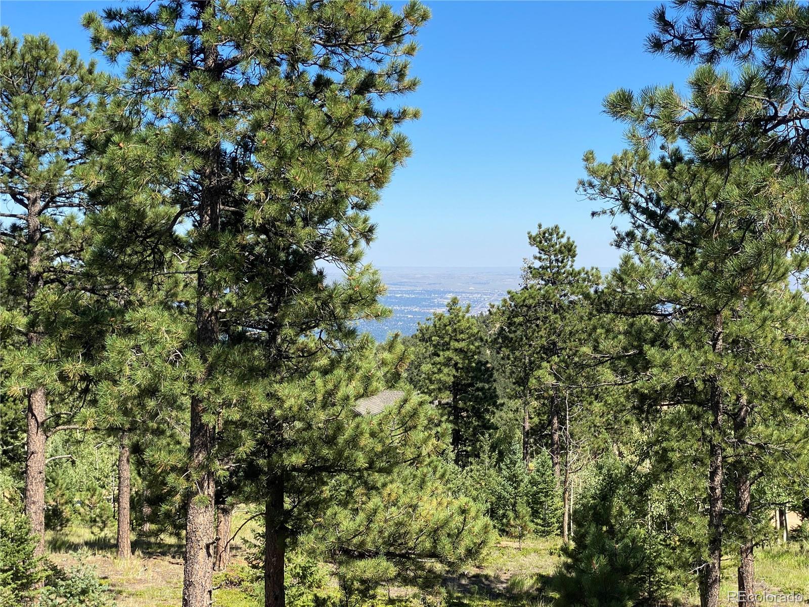 156 Big Bear Manitou Springs CO 80829