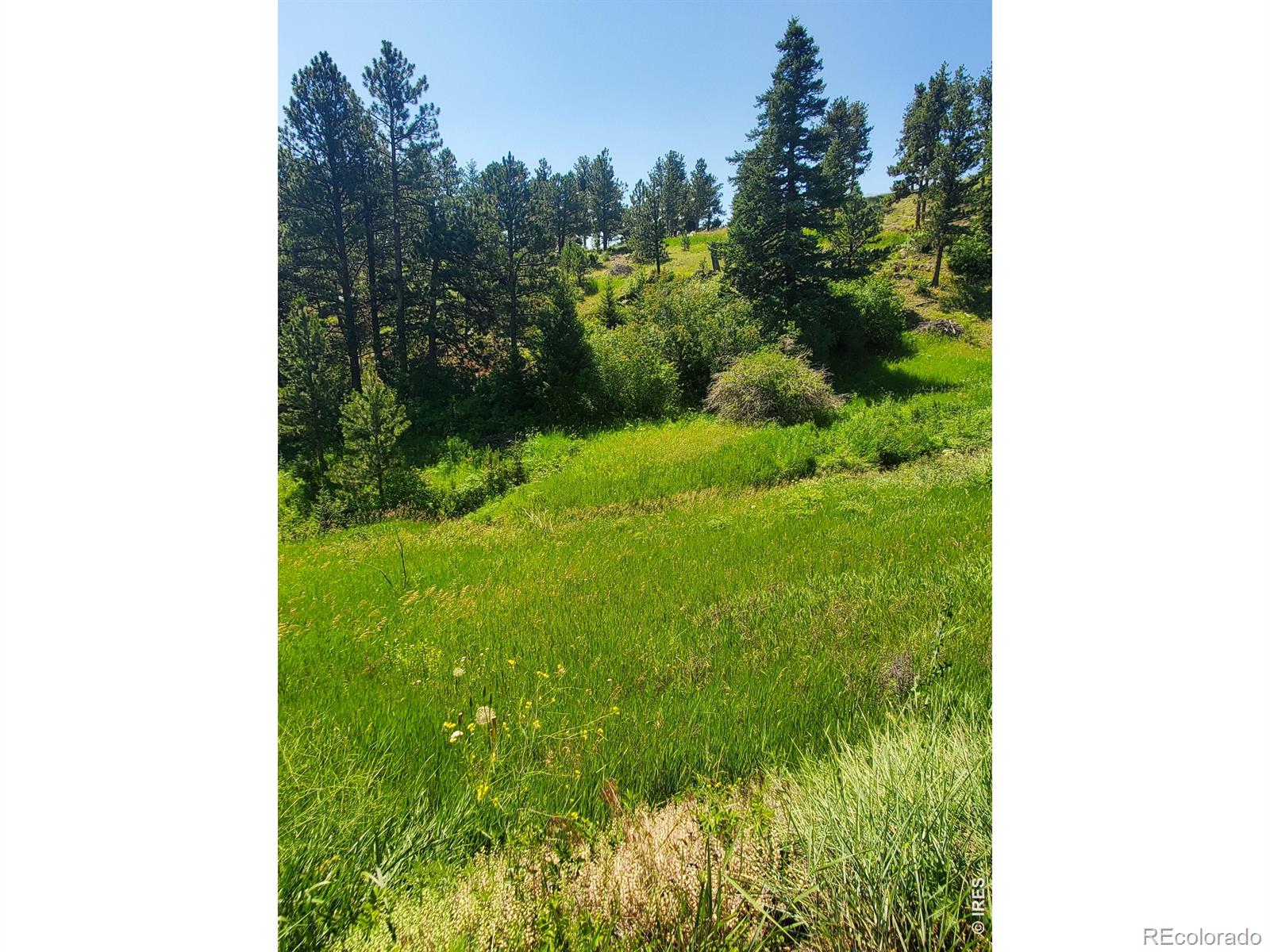 4394 Sunshine Canyon Drive Boulder CO 80302
