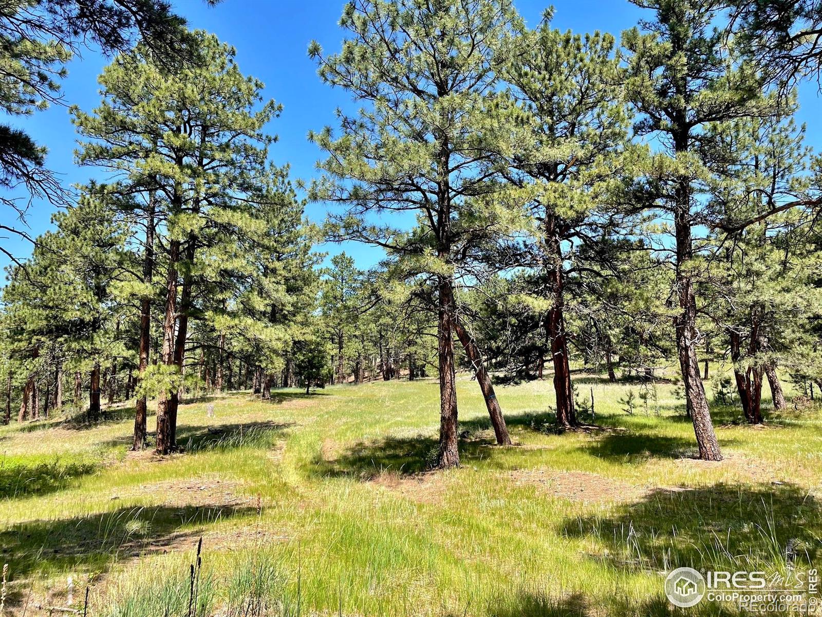 2050 Fourmile Canyon Drive Boulder CO 80302