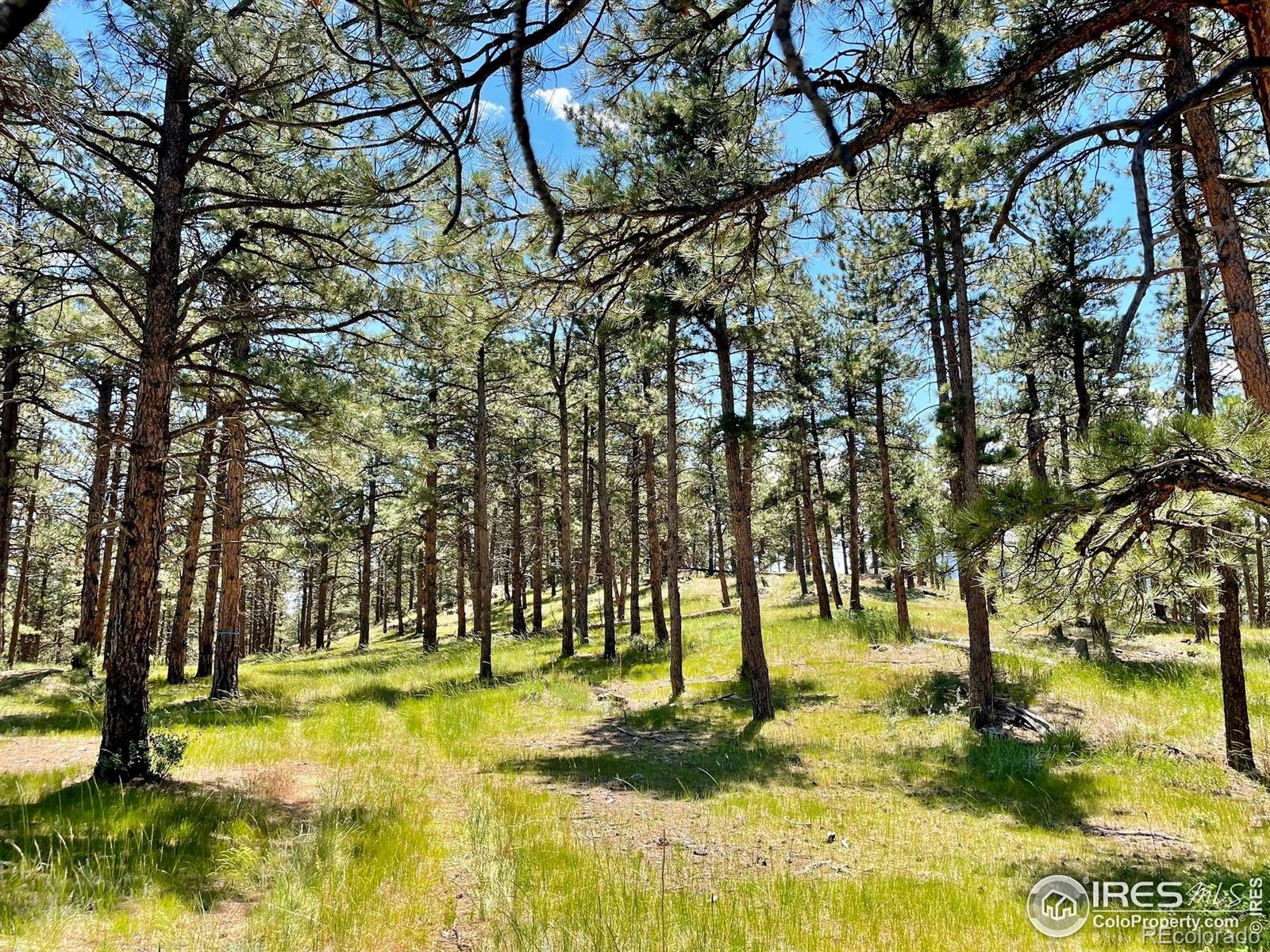 2050 Fourmile Canyon Drive Boulder CO 80302