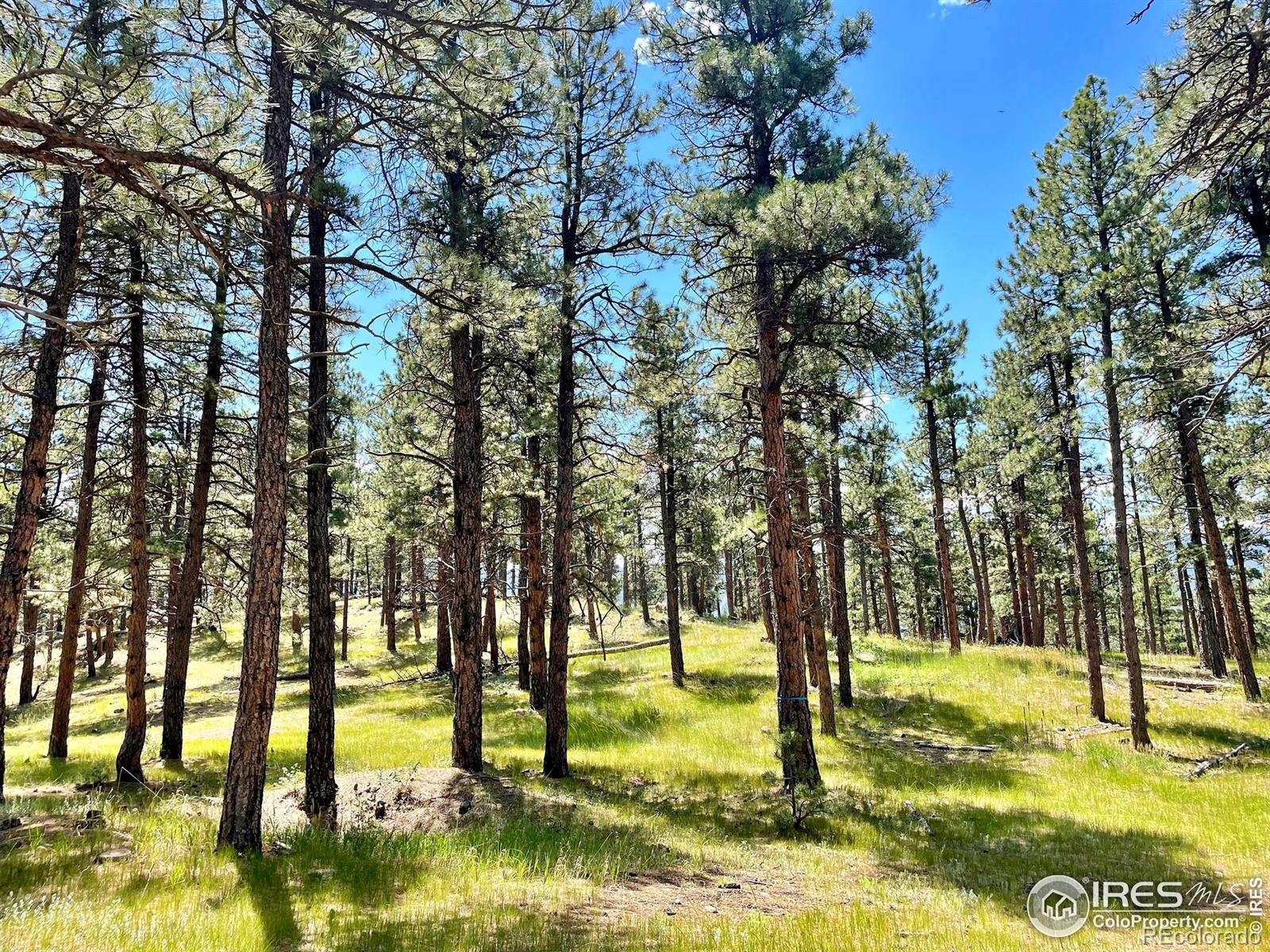 2050 Fourmile Canyon Drive Boulder CO 80302