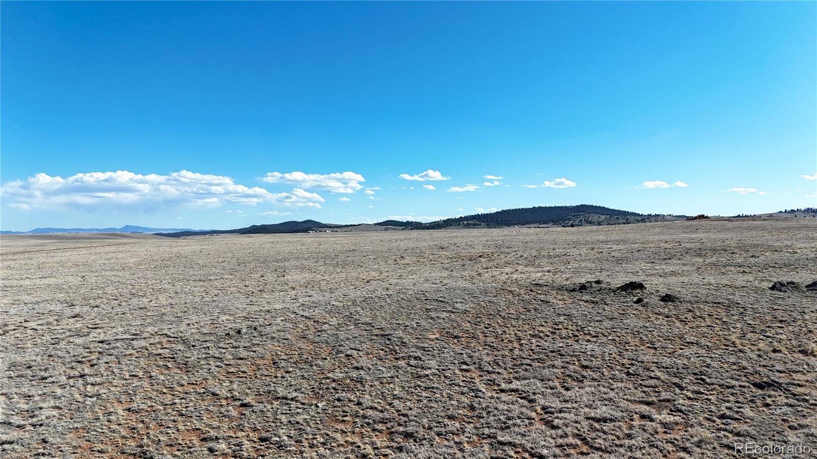 417 Andesite Way Hartsel CO 80449