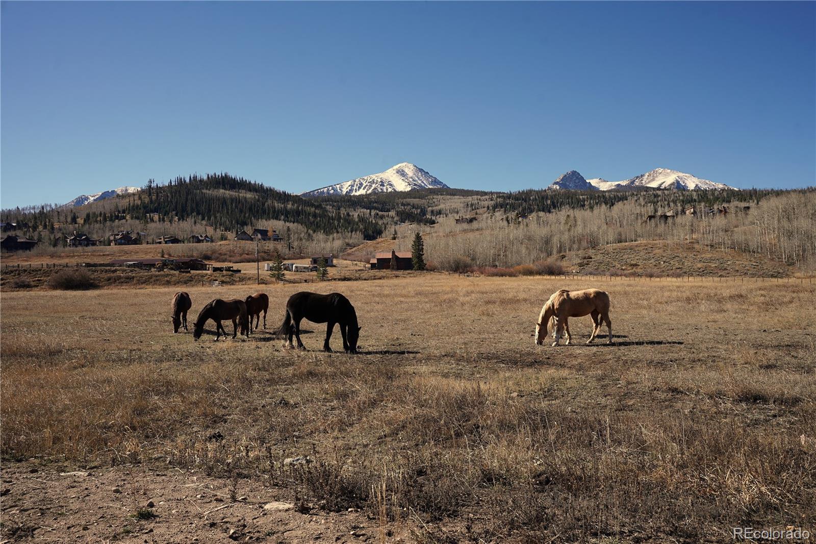417 Andesite Way Hartsel CO 80449