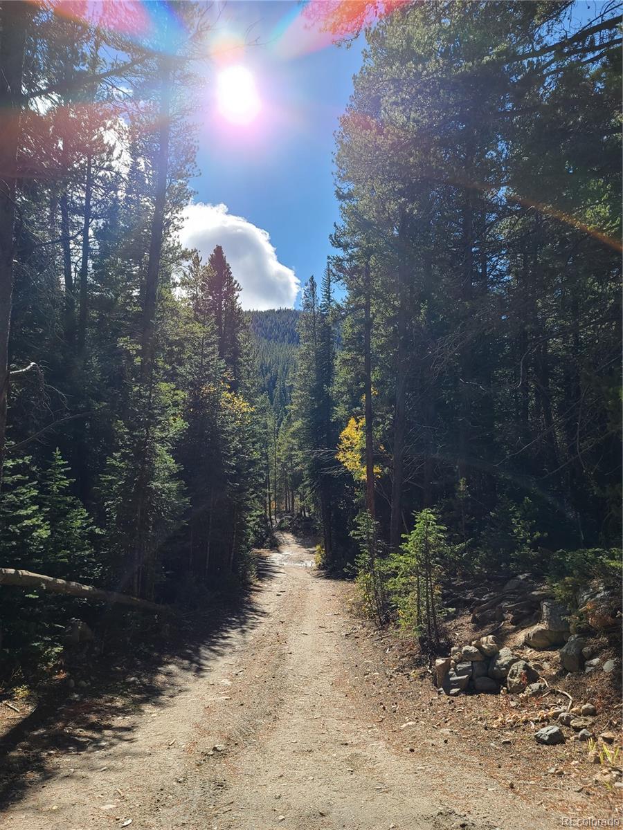 004 Rainbow Road Idaho Springs CO 80452