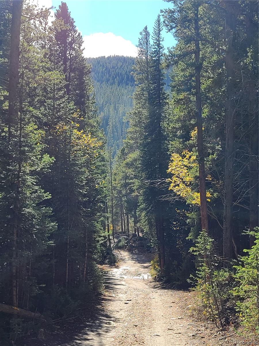 004 Rainbow Road Idaho Springs CO 80452