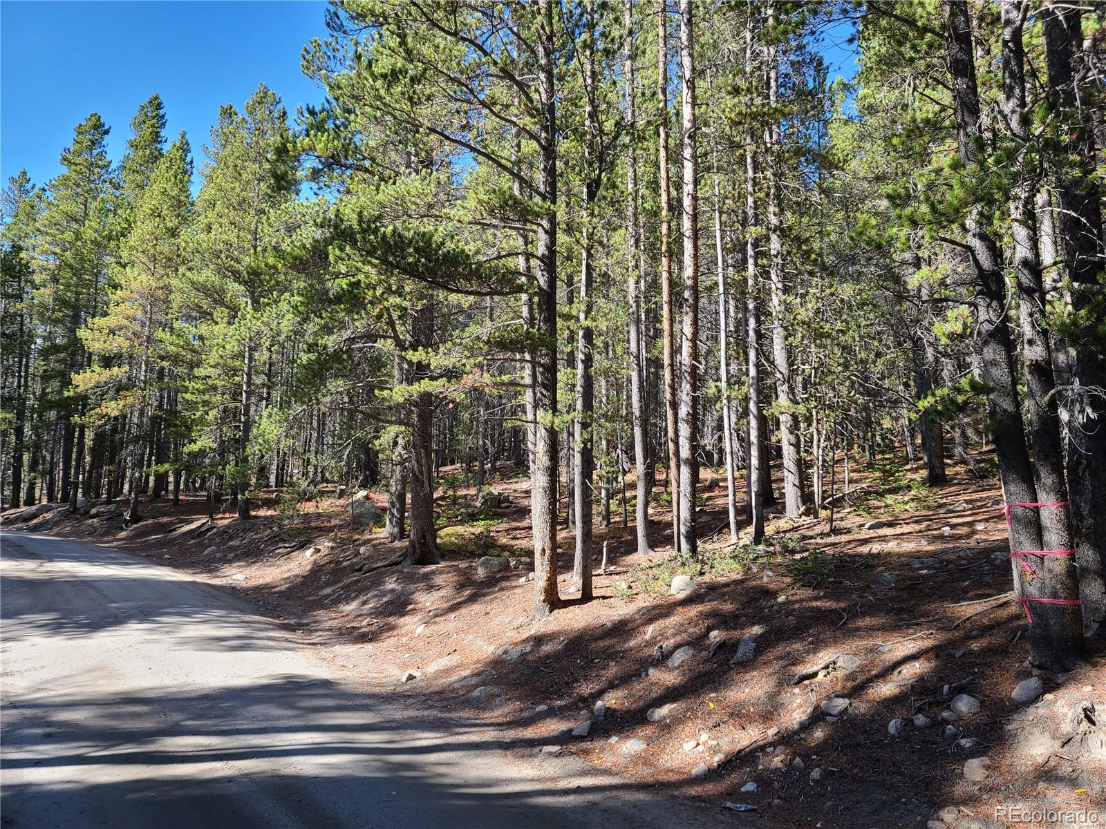 004 Rainbow Road Idaho Springs CO 80452