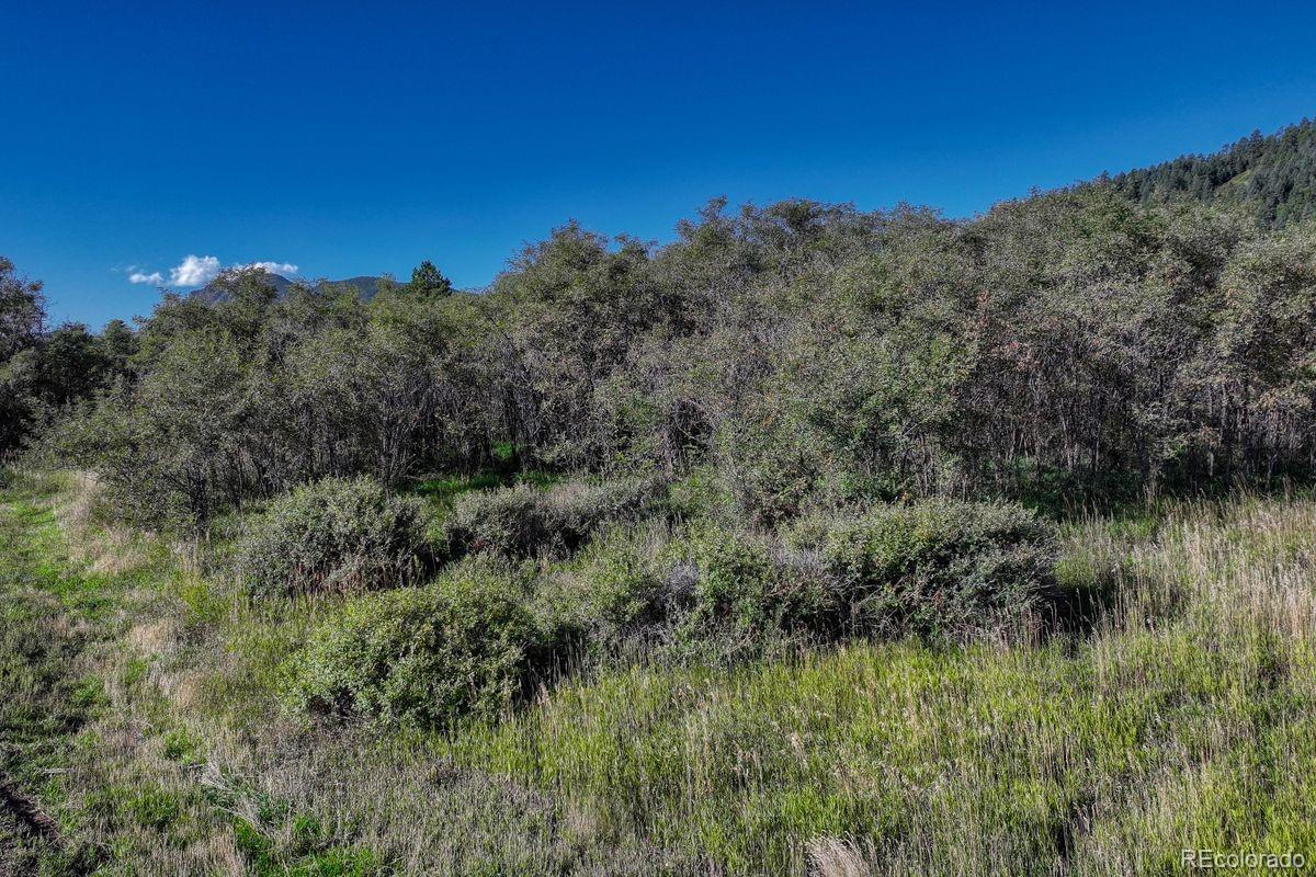 15989 S Perry Park Road Larkspur CO 80118