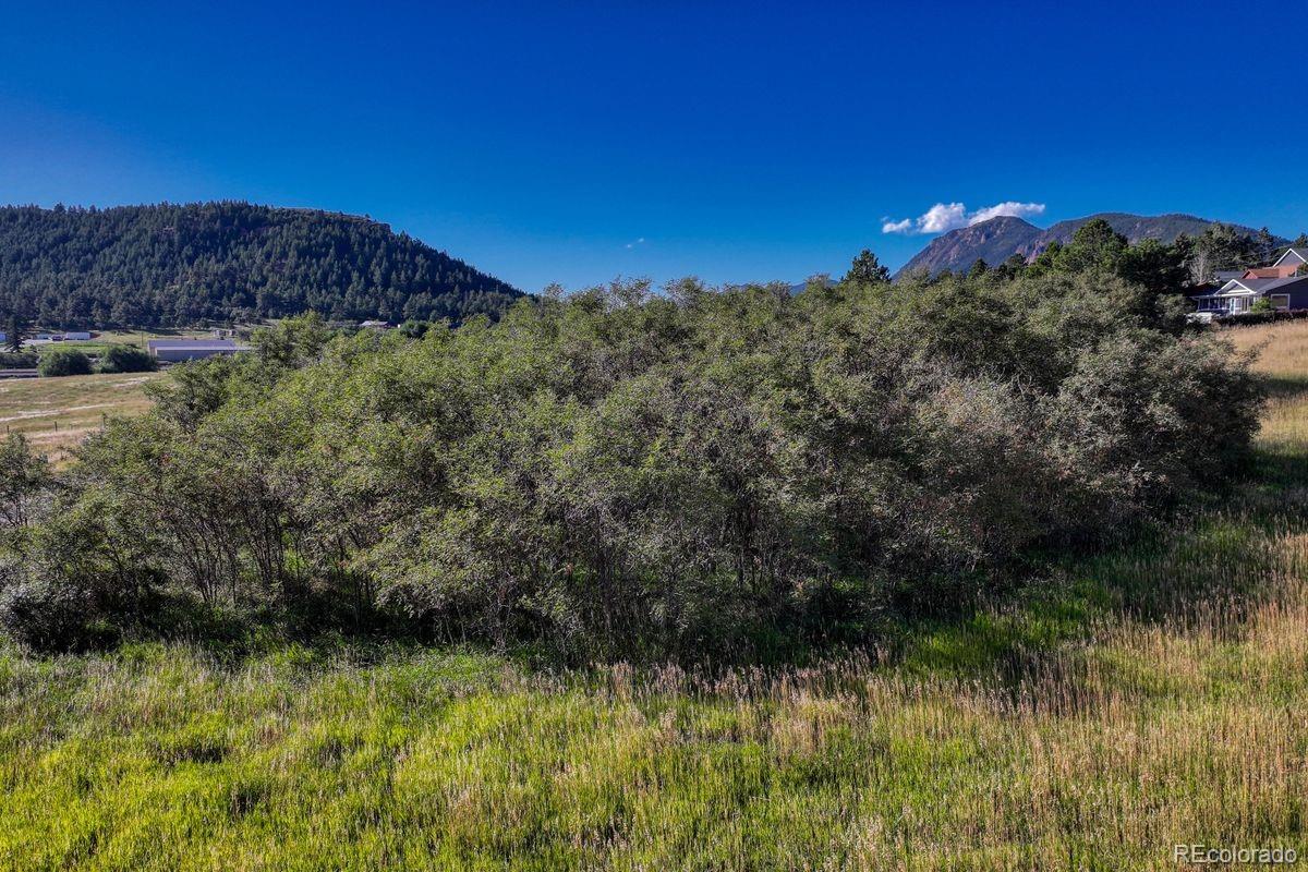 15989 S Perry Park Road Larkspur CO 80118