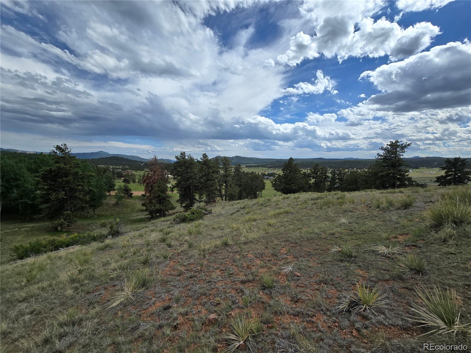 71 Elkhorn Circle Florissant CO 80816