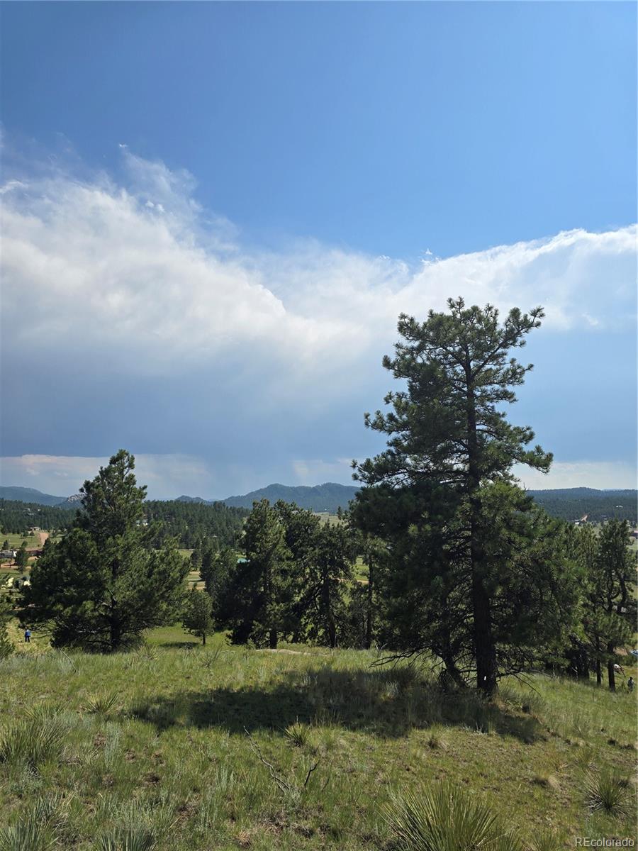 71 Elkhorn Circle Florissant CO 80816