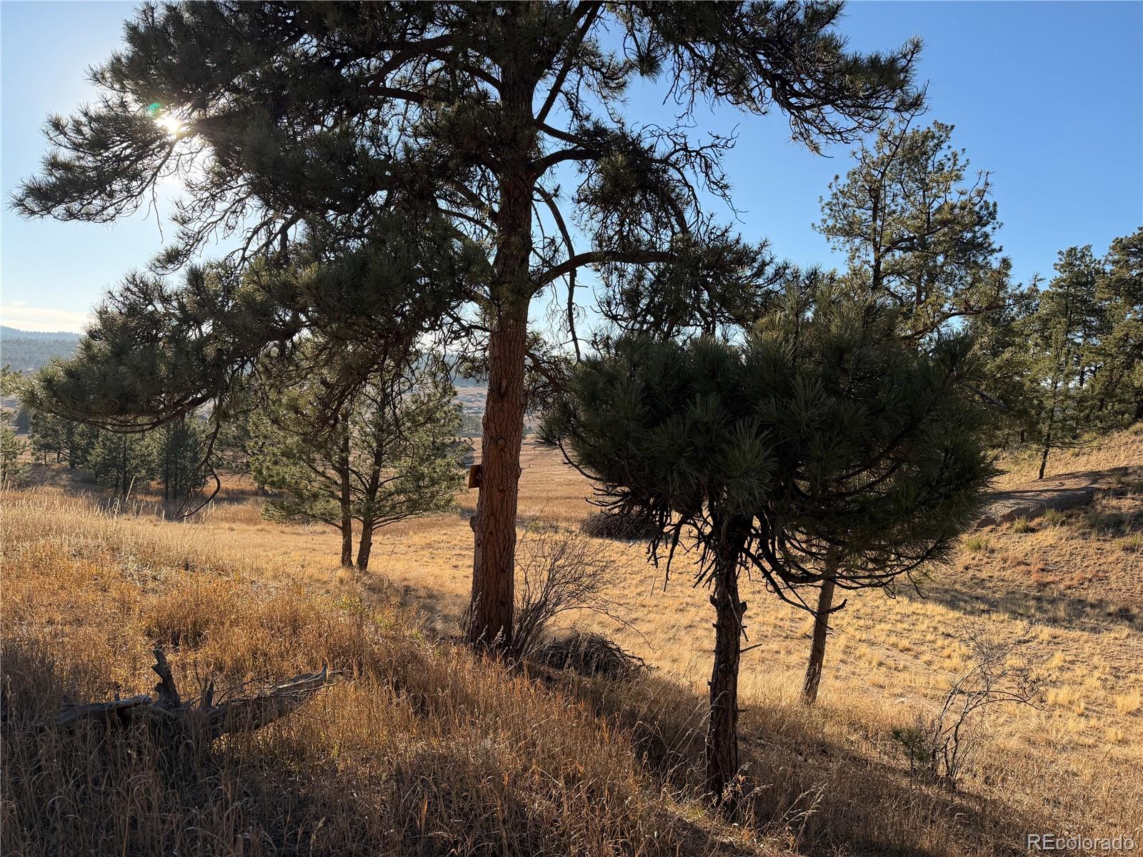 71 Elkhorn Circle Florissant CO 80816