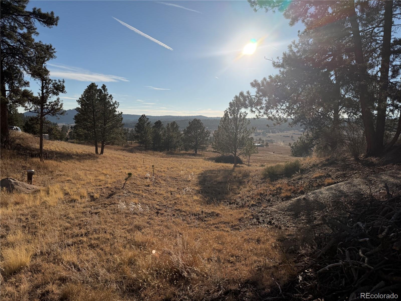 71 Elkhorn Circle Florissant CO 80816