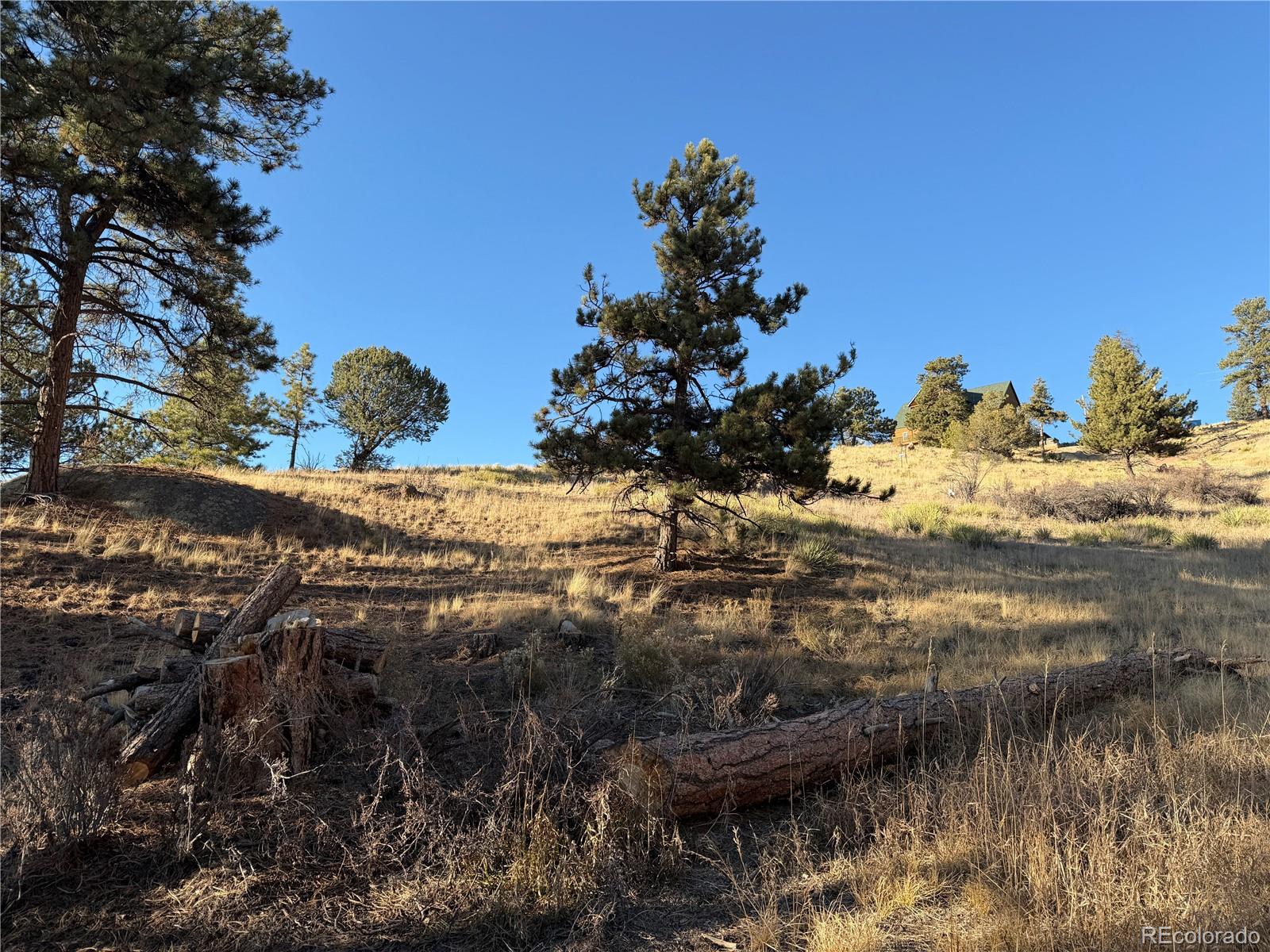 71 Elkhorn Circle Florissant CO 80816