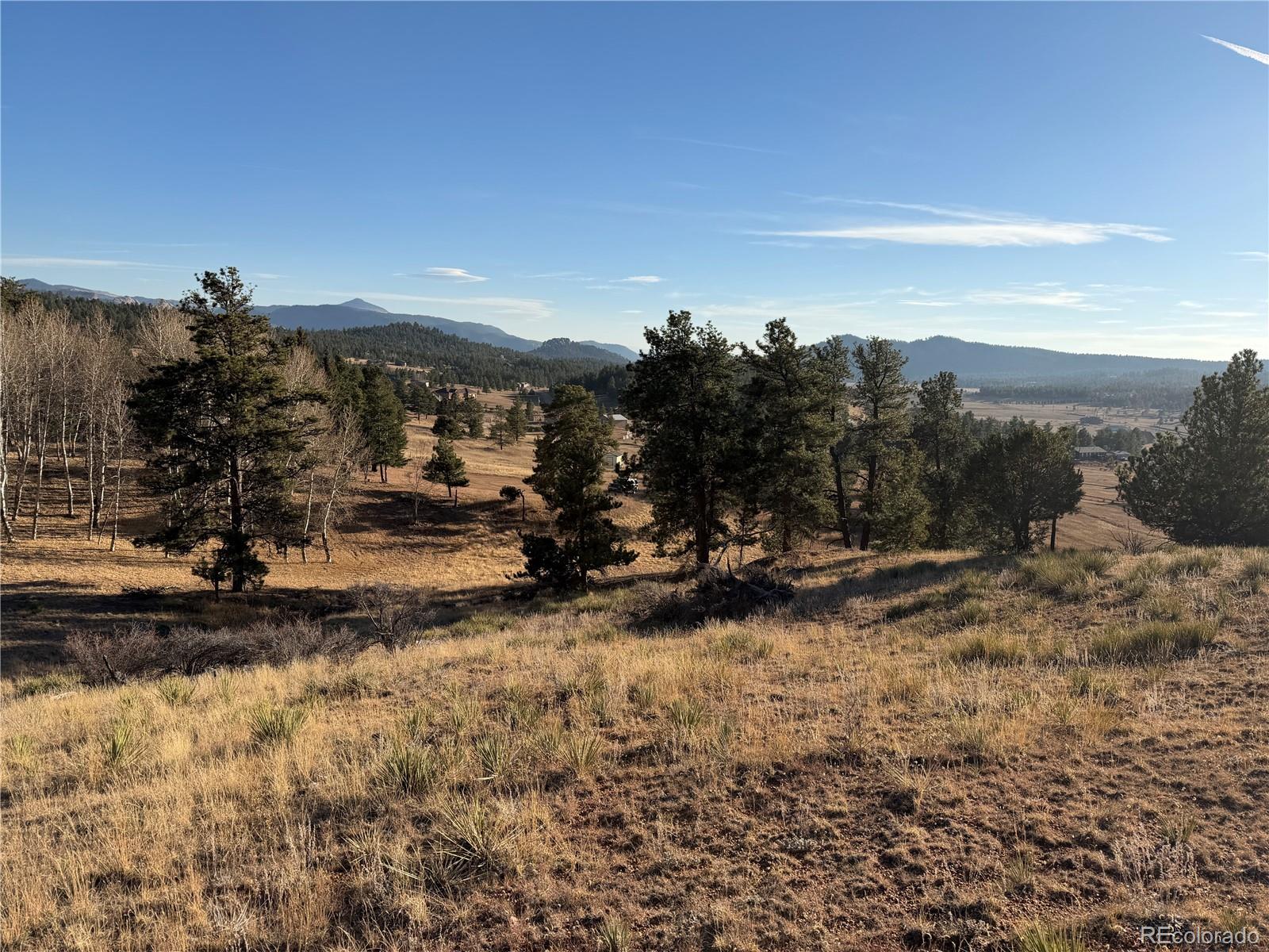 71 Elkhorn Circle Florissant CO 80816
