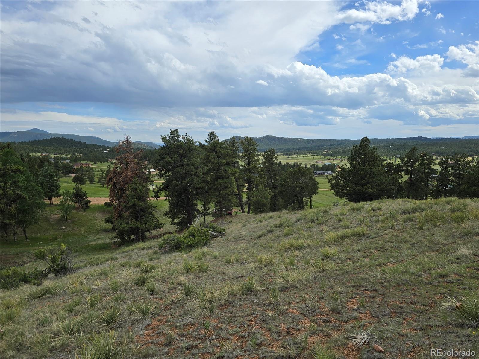 71 Elkhorn Circle Florissant CO 80816