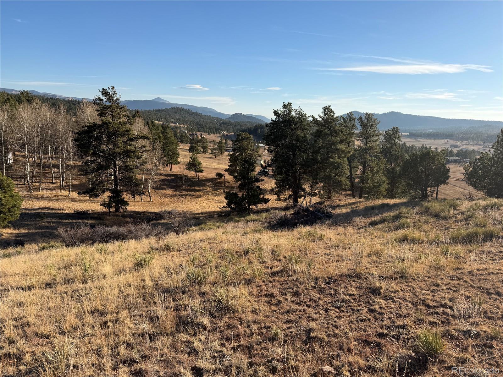 71 Elkhorn Circle Florissant CO 80816