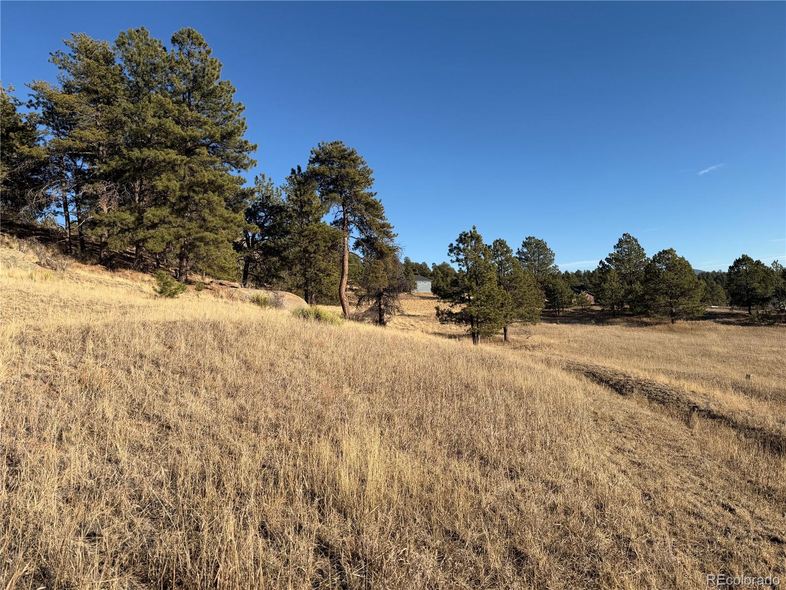 71 Elkhorn Circle Florissant CO 80816