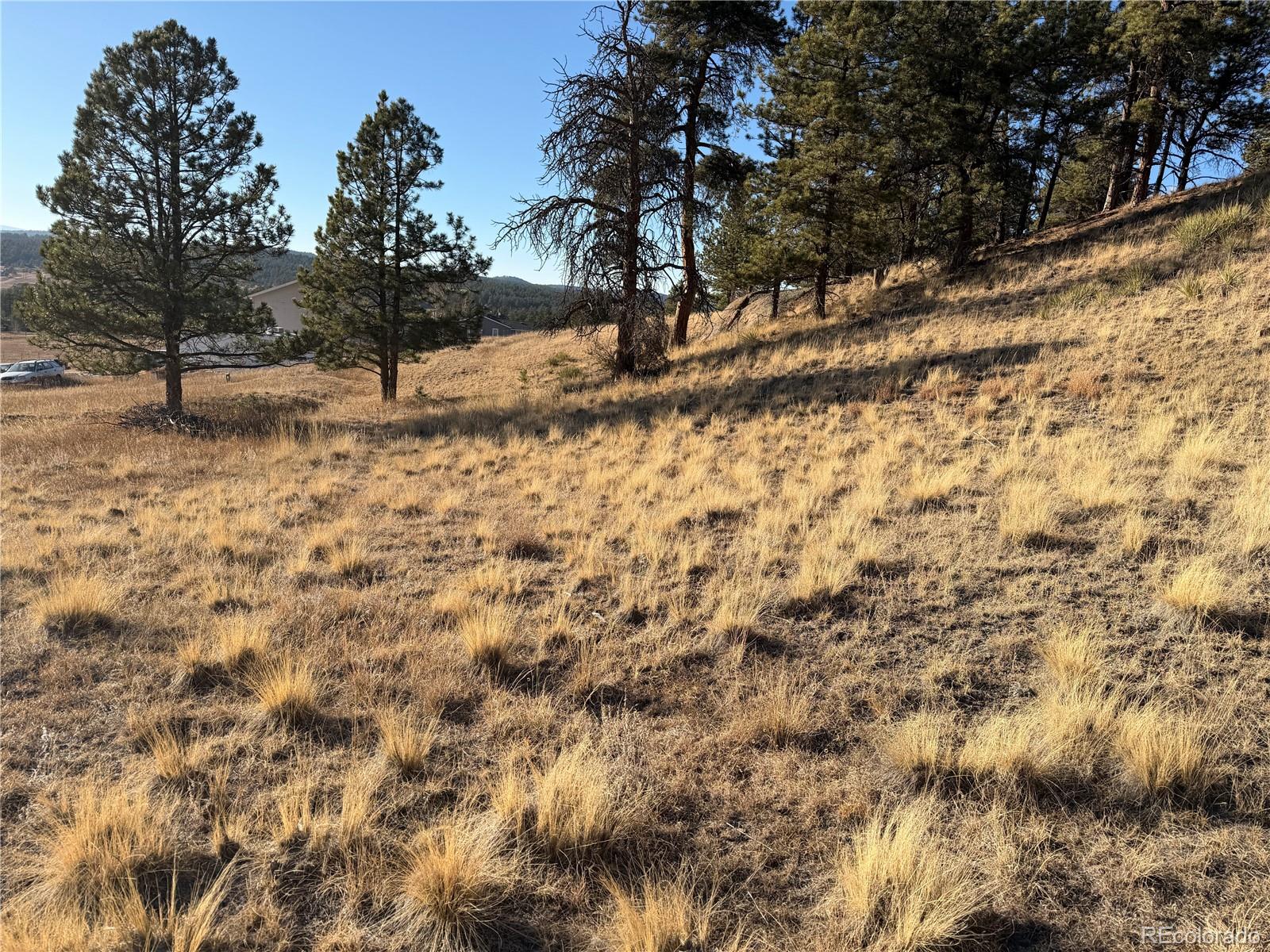 71 Elkhorn Circle Florissant CO 80816