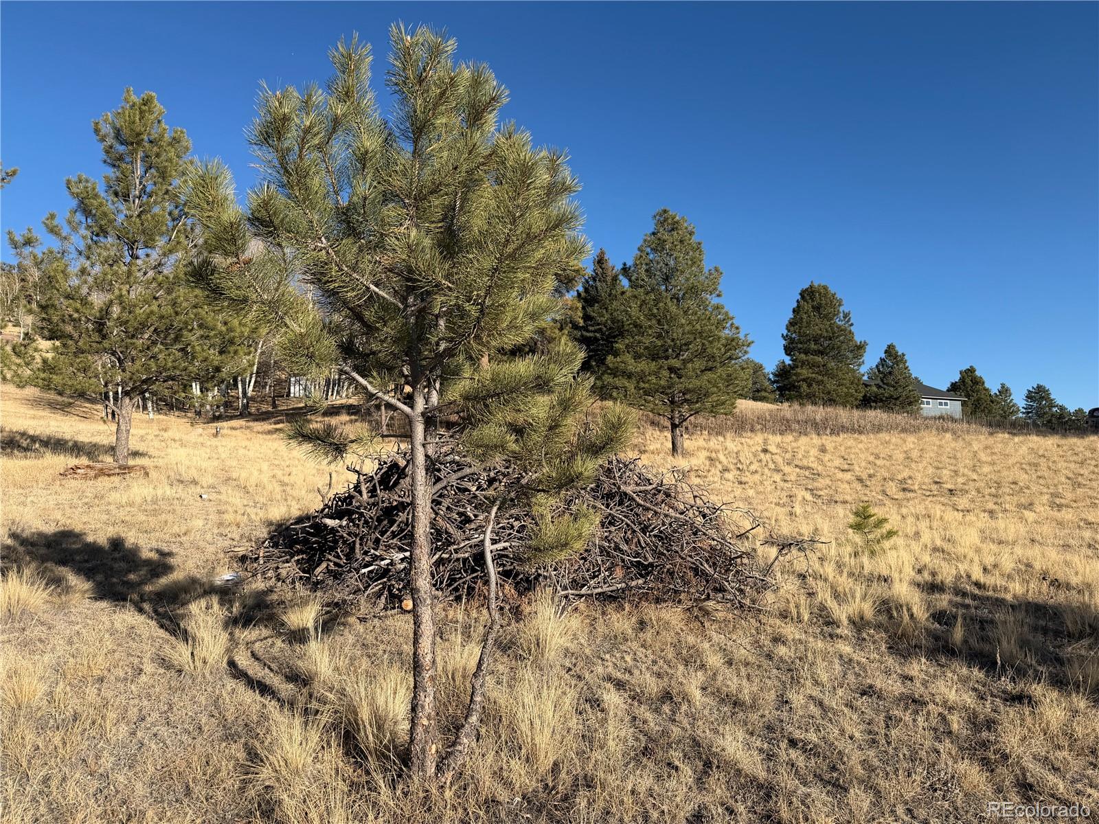 71 Elkhorn Circle Florissant CO 80816