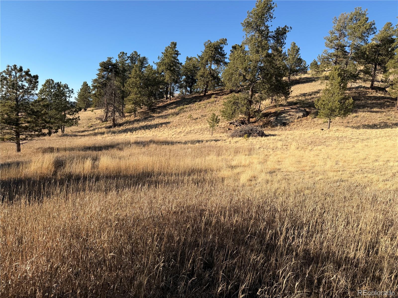 71 Elkhorn Circle Florissant CO 80816