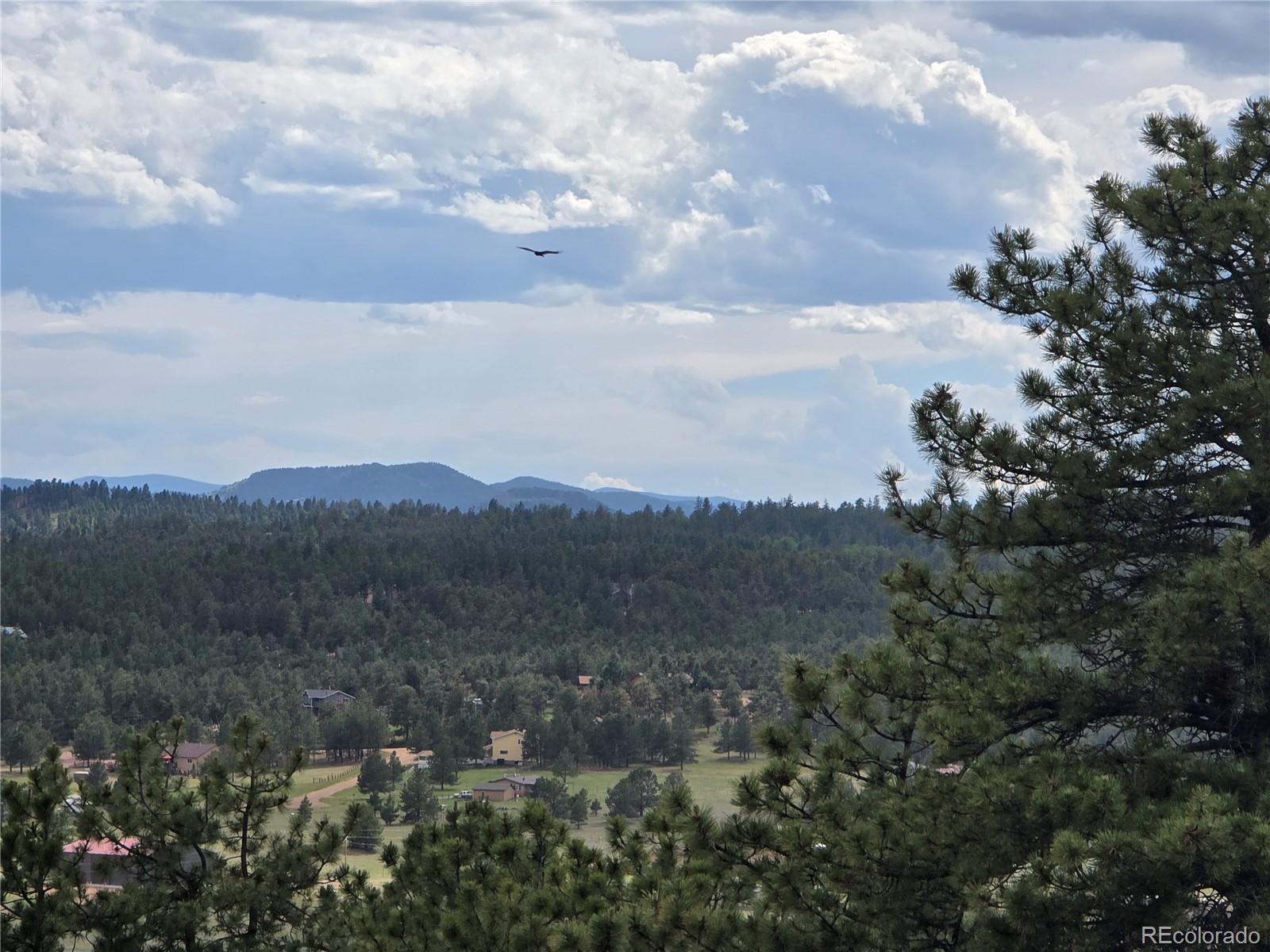 71 Elkhorn Circle Florissant CO 80816
