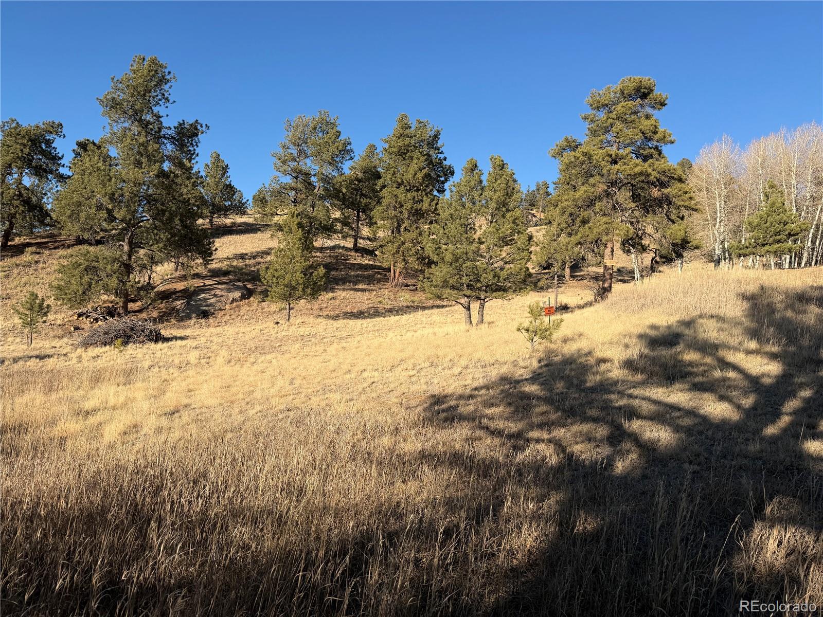 71 Elkhorn Circle Florissant CO 80816