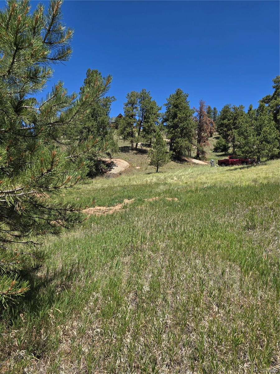 71 Elkhorn Circle Florissant CO 80816