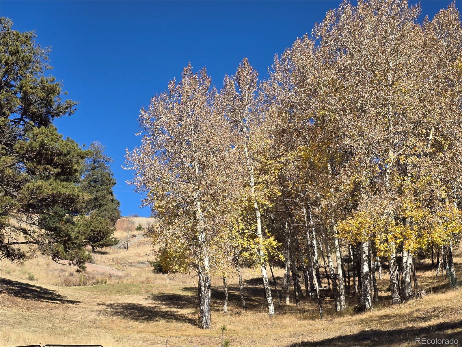 71 Elkhorn Circle Florissant CO 80816