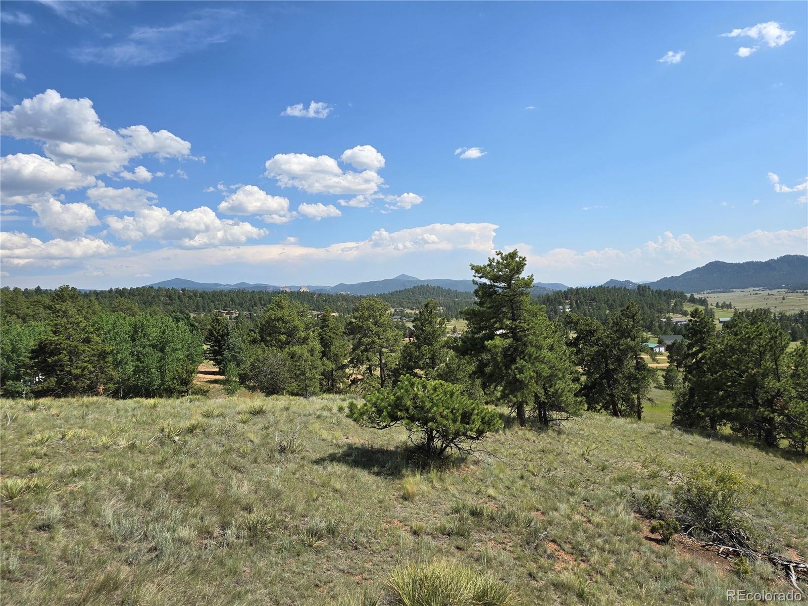 71 Elkhorn Circle Florissant CO 80816