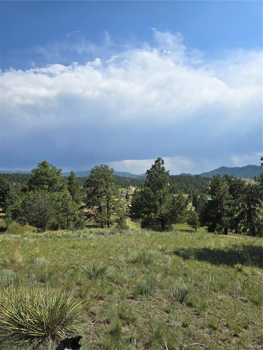 71 Elkhorn Circle Florissant CO 80816