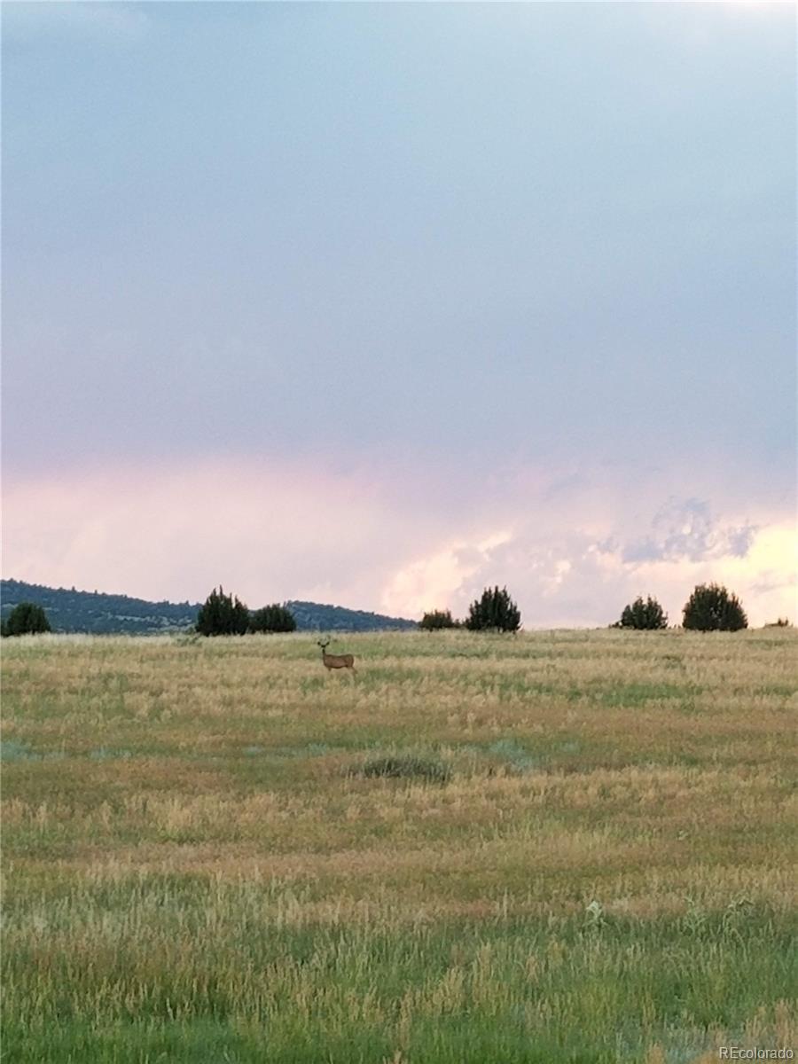 Lot 36 Hart Ranch Road Beulah CO 81023