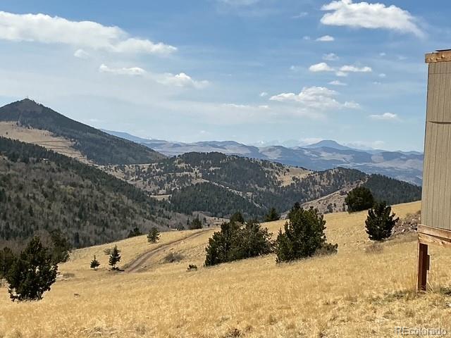 00 Rhyolite Mountain Mesa Cripple Creek CO 80813