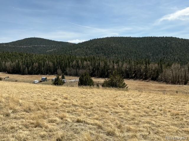 00 Rhyolite Mountain Mesa Cripple Creek CO 80813