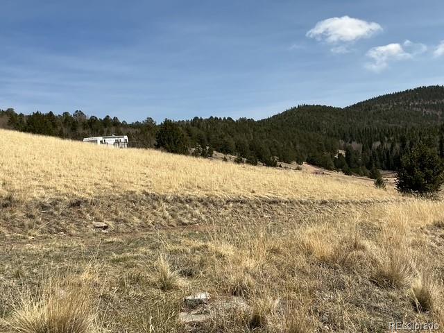 00 Rhyolite Mountain Mesa Cripple Creek CO 80813